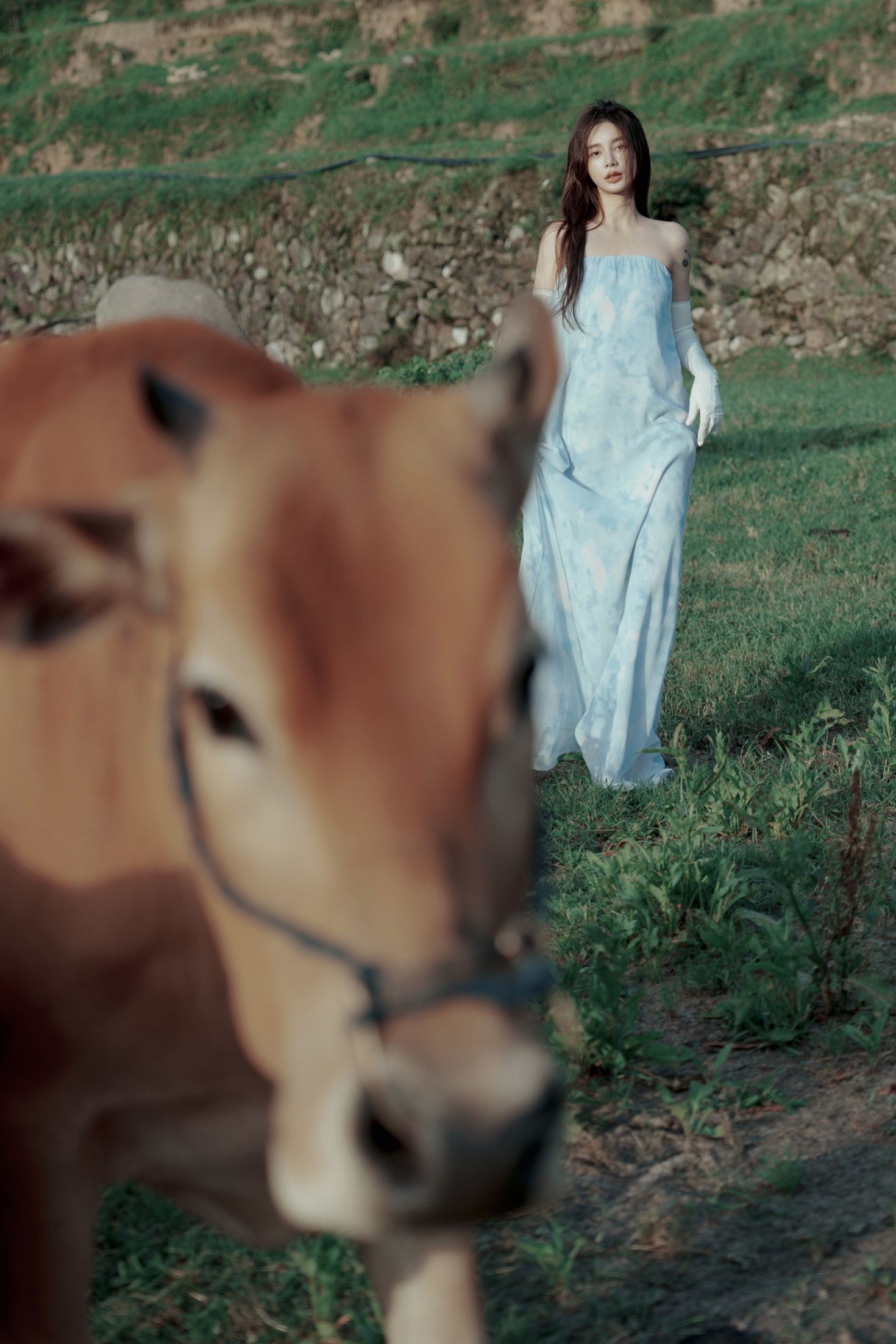 YITUYU艺图语模特唯美写真2022.09.15期穿梭在牛群中与牛共舞 姝雯同学 (22)